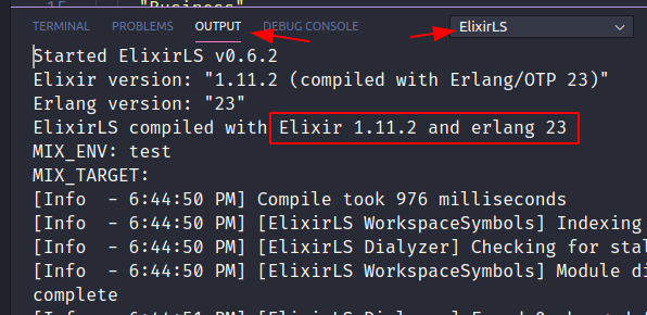 Screenshot of ElixirLS language server output